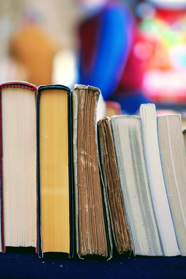 The Starweaver's Daughter